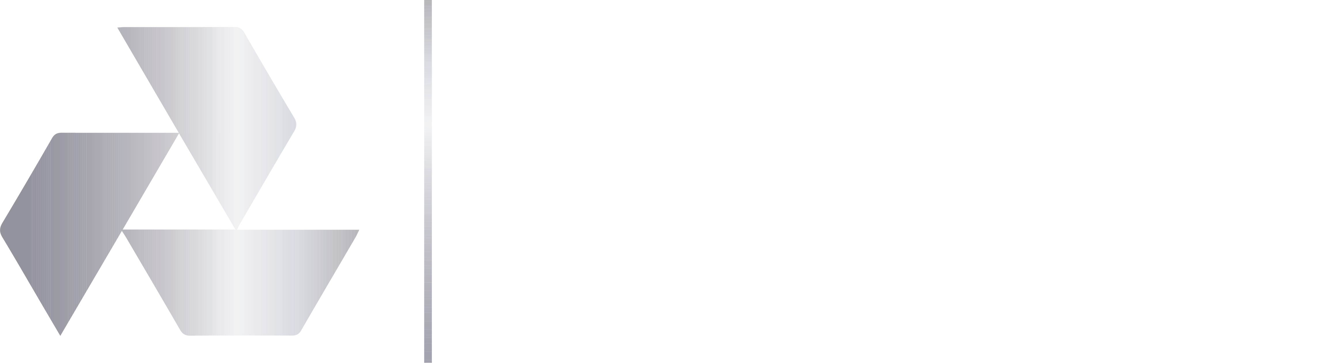 Developed by RLV